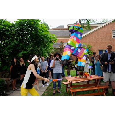 Stella McCartney Cruise Collection