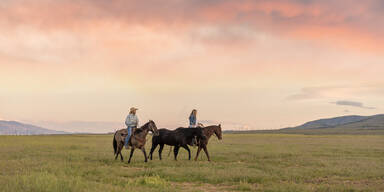"Jahr des Pferdes": Das Chinesische Neujahr revolutioniert unser Liebesleben