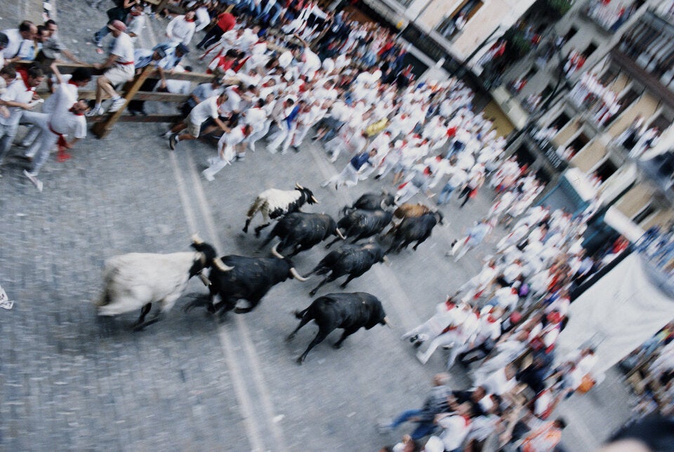 Stierhatz in Pamplona: Tote Tiere und verletzte Läufer