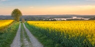 Laut Bauernregel: Das bedeutet März-Wetter für den Frühling