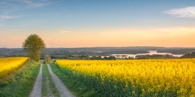 Laut Bauernregel: Das bedeutet das Wetter im M&auml;rz f&uuml;r den Fr&uuml;hling