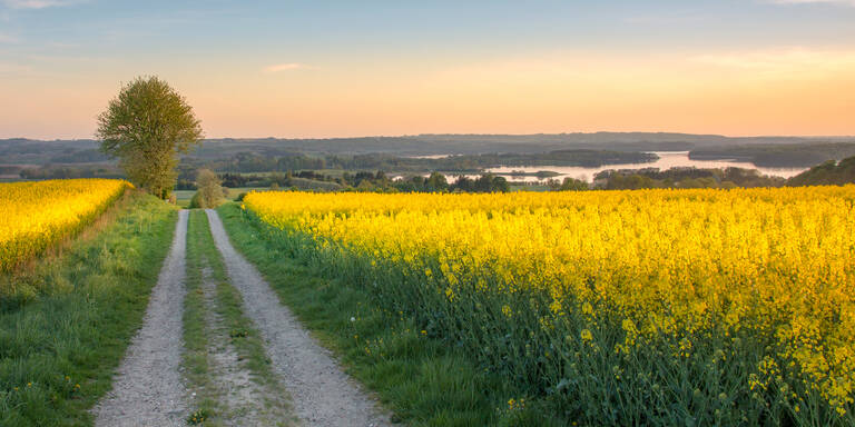 Laut Bauernregel: Das bedeutet das Wetter im März für den Frühling