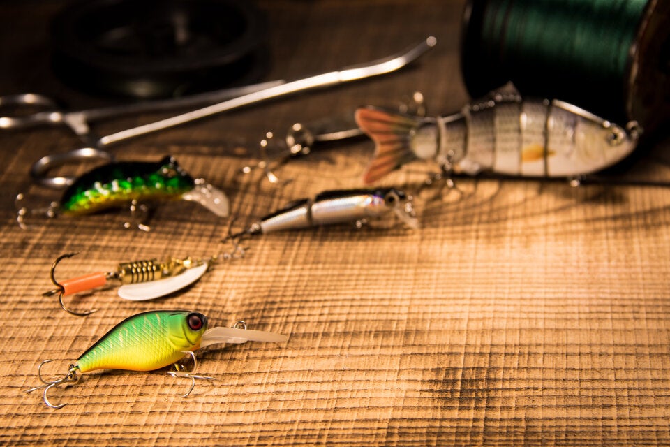 Leichenteile fischen