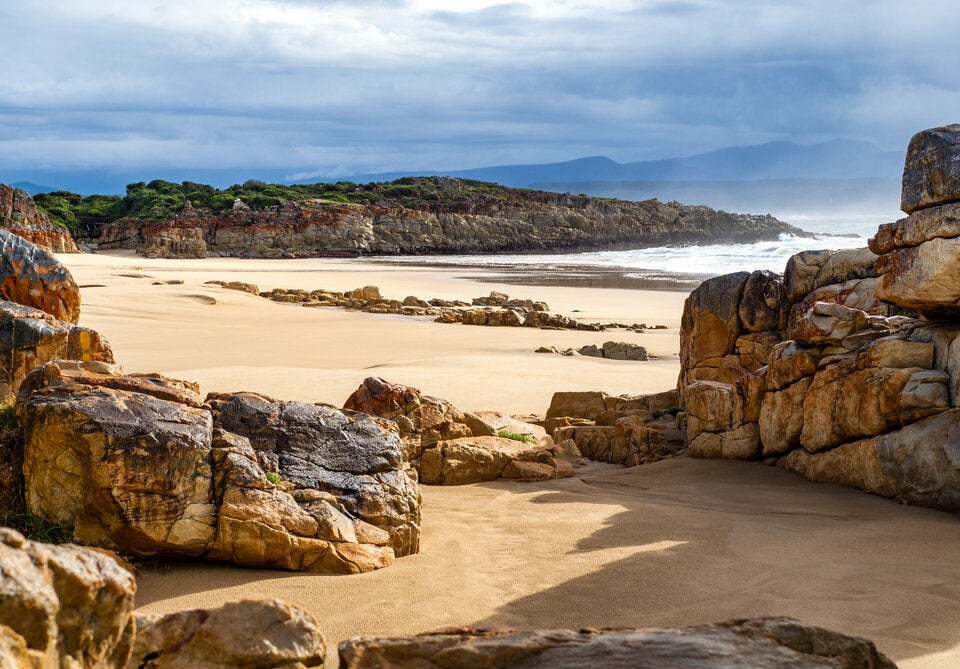 Weißer Hai Central Beach