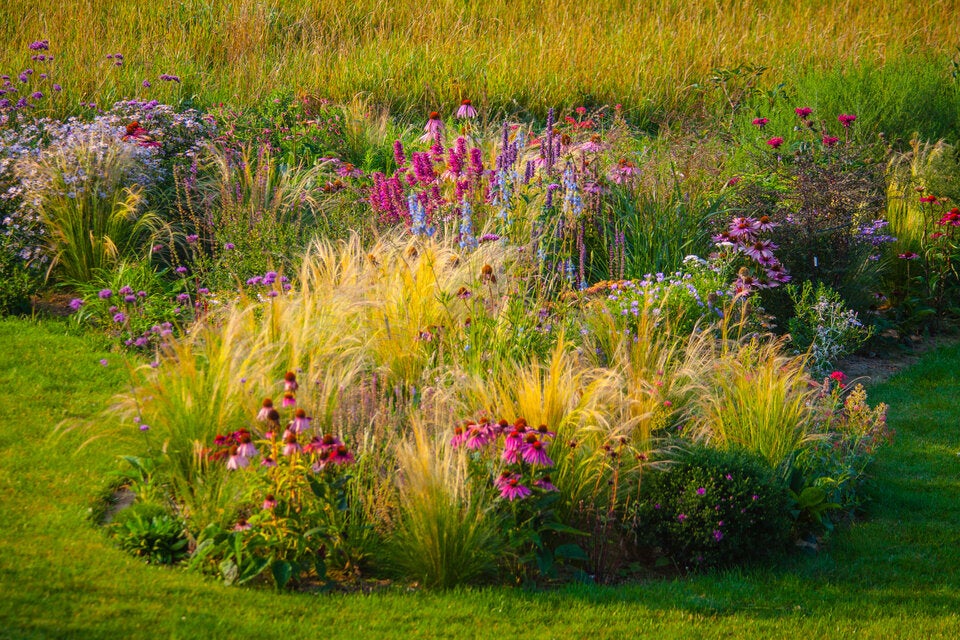 Wie ein naturalistisches Gemälde wirkt der mit Ziergräsern und Stauden in verschiedenen Farben bepflanzte Garten. 