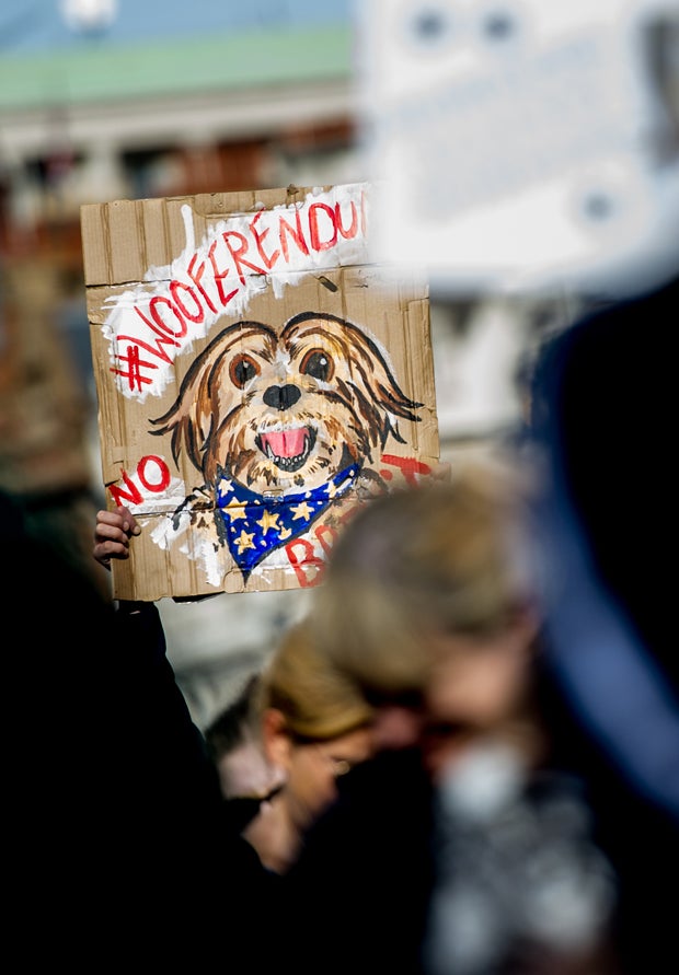 Neuer Hunde-Protest gegen Brexit angekündigt