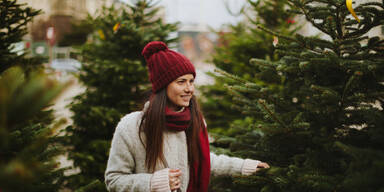 Tanne oder Fichte? Das müssen Sie beim Christbaumkauf beachten