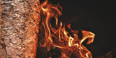 K&auml;sekrainer-D&ouml;ner erobert Wien!