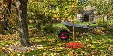 Weiß niemand: Was Sie im Herbst unbedingt mit Ihrem Rasen machen sollten