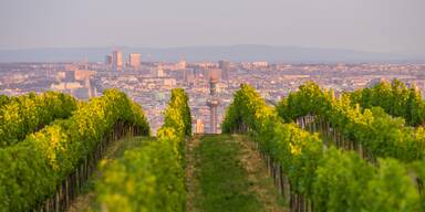 Vegan beim Heurigen: Diese Wiener Heurige bieten pflanzliche Gerichte