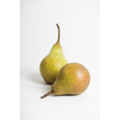 Gesundes im September