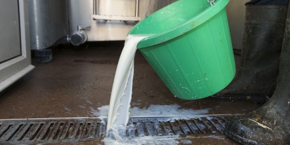 Schockierende Studie zur Lebensmittelverschwendung