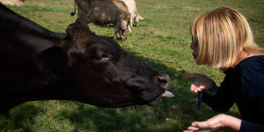 Wirbel um "KuhKussChallenge": Mit oder ohne Zunge?