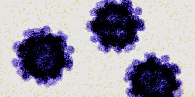Novovirus