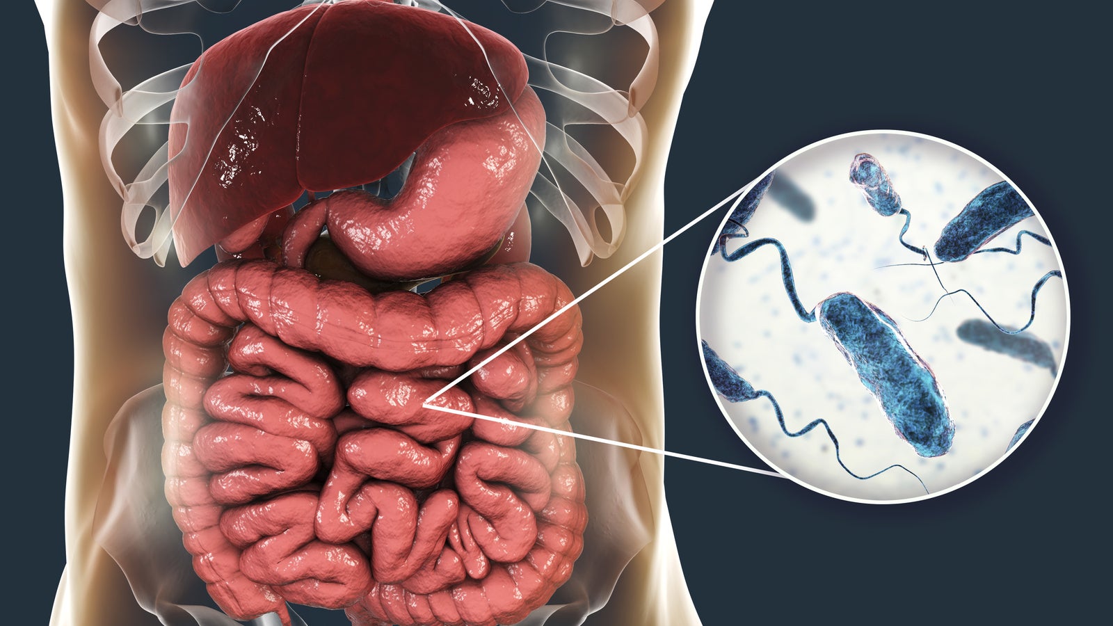Nächster Fall: Olympia zittert vor gefährlichem Norovirus Kép
