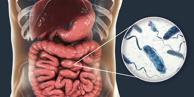 N&auml;chster Fall: Olympia zittert vor gef&auml;hrlichem Norovirus
