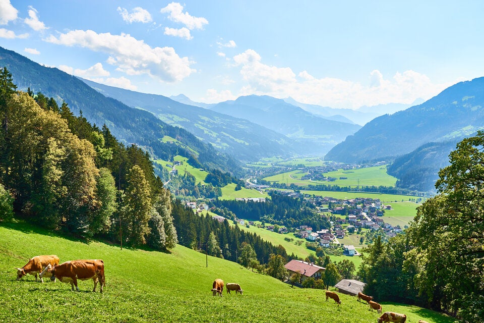 Sommer im Zillertal: Tipps für tolle Bergferien in Tirol