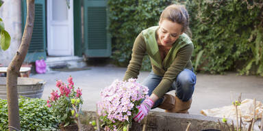 Diese Pflanzfehler machen derzeit alle - und sie ruinieren den Garten!
