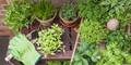 Urban Gardening auf dem Balkon: Die besten Anfänger-Tipps