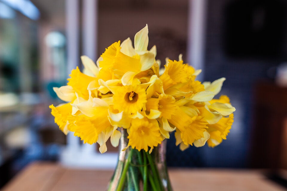 Osterdeko: Osterglocken als Blumenschmuck