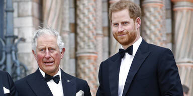 Prinz Harry, König Charles