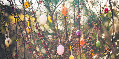 Ostern im Garten: Die besten Deko-Tipps für draußen