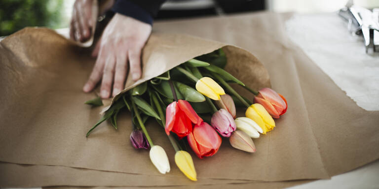 Finger weg: Warum Sie jetzt noch keine Tulpen kaufen sollten