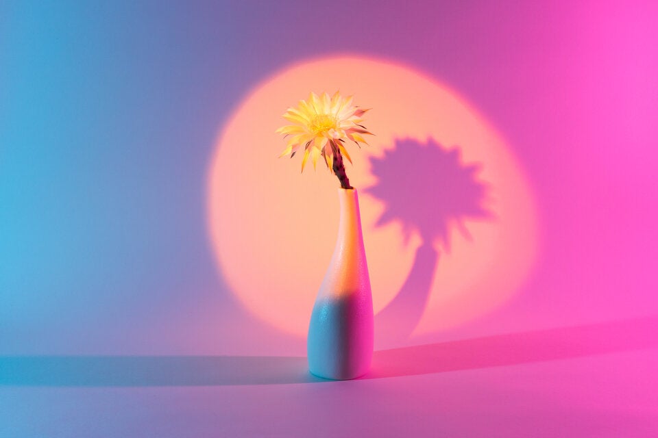Ohne Schrubben: Mit diesen Tricks wird jede Blumenvase blitzblank