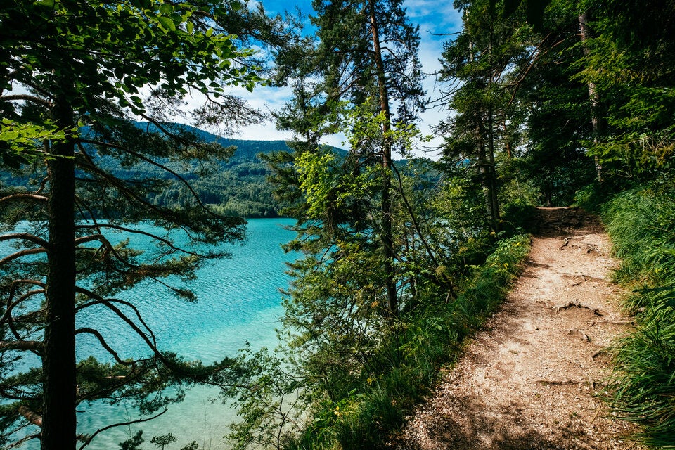 Diese heimischen Hotspots führen uns auf die schönsten Wander- und Bike-Routen