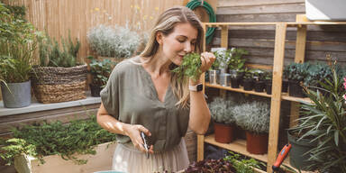 Wie Heilkräuter Kräfte & Schönheit vereinen