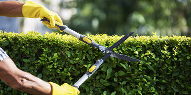 Achtung: Diese Gartenarbeit ist ab jetzt verboten