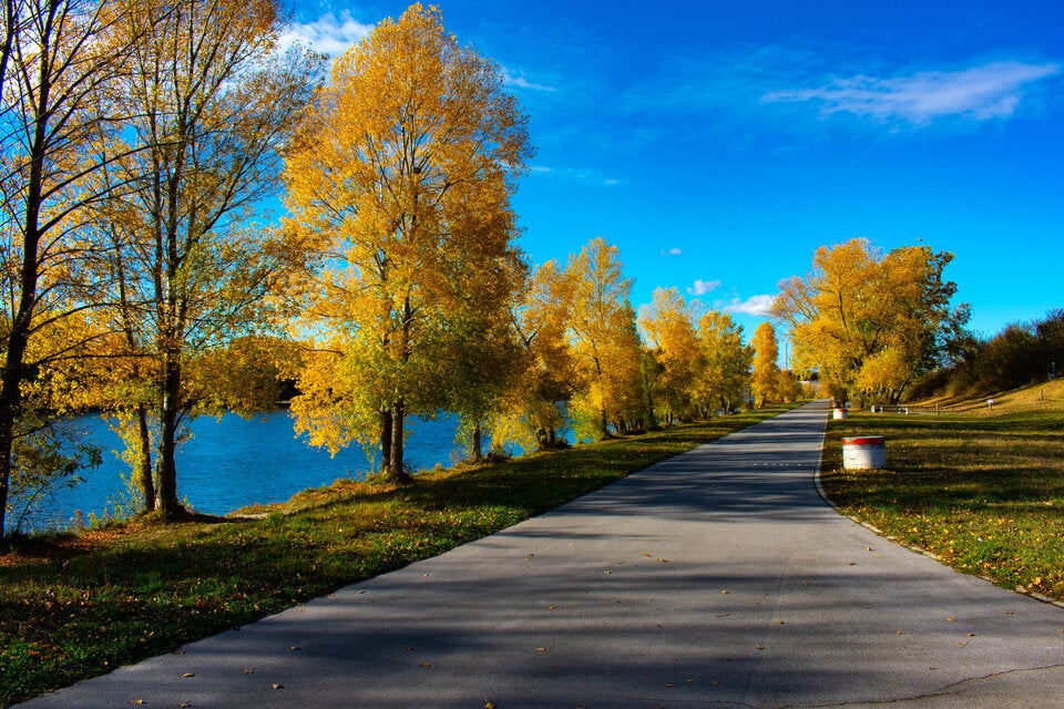 Ein Spaziergang entlang der Donau ist ein malerischer Traum im herbstlichen Kleid.