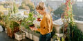 Frühling auf Balkon & Terrasse: Mit diesen Tipps wird’s richtig schön