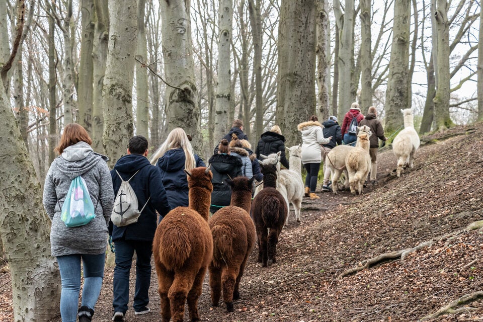 Ausflugstipps für die Feiertage: Das können Sie in und rund um Wien machen