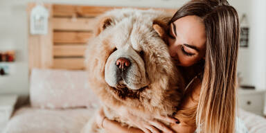 Stylische Pullis aus Hundehaaren