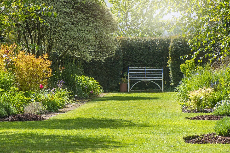Achtung: Das sind die größten Gartenfehler im Sommer