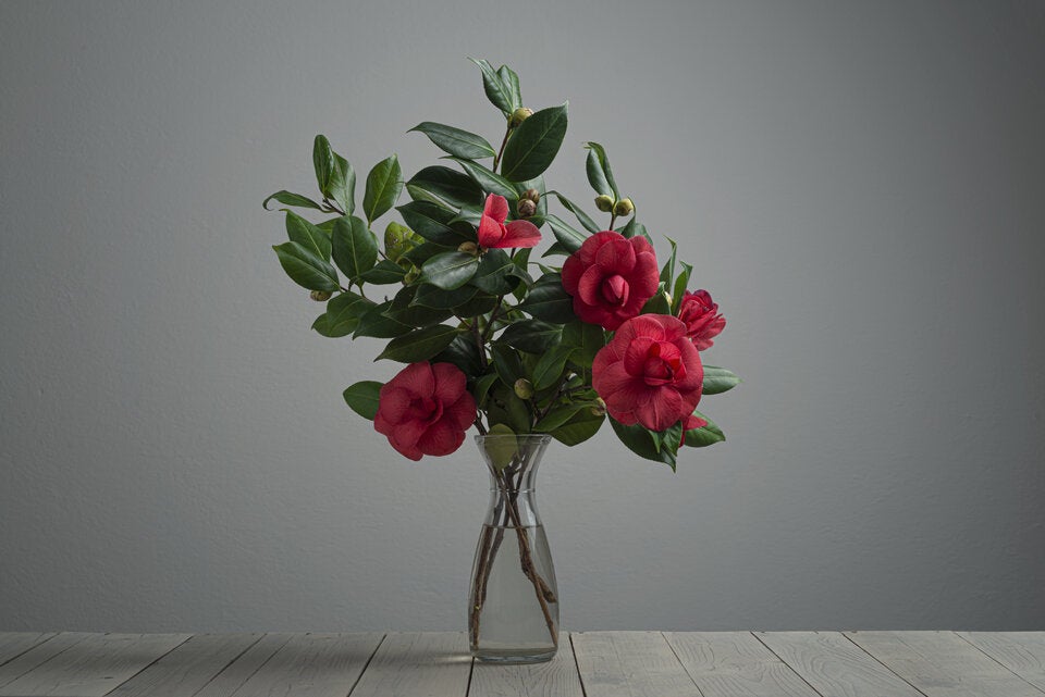 Geheime Liebesbotschaften: Die Bedeutung hinter Valentinstagsblumen