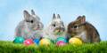 Alles ein PR-Gag? Das hat Ostern mit bunten Eiern & Hasen zu tun