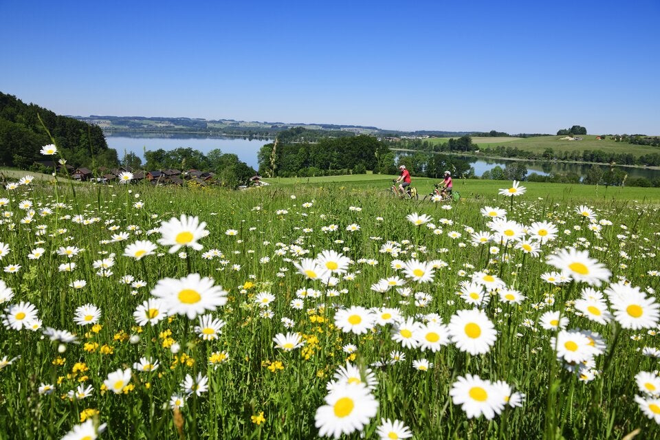 Salzburger Seenland: Der Geheimtipp für jeden Urlaubstyp
