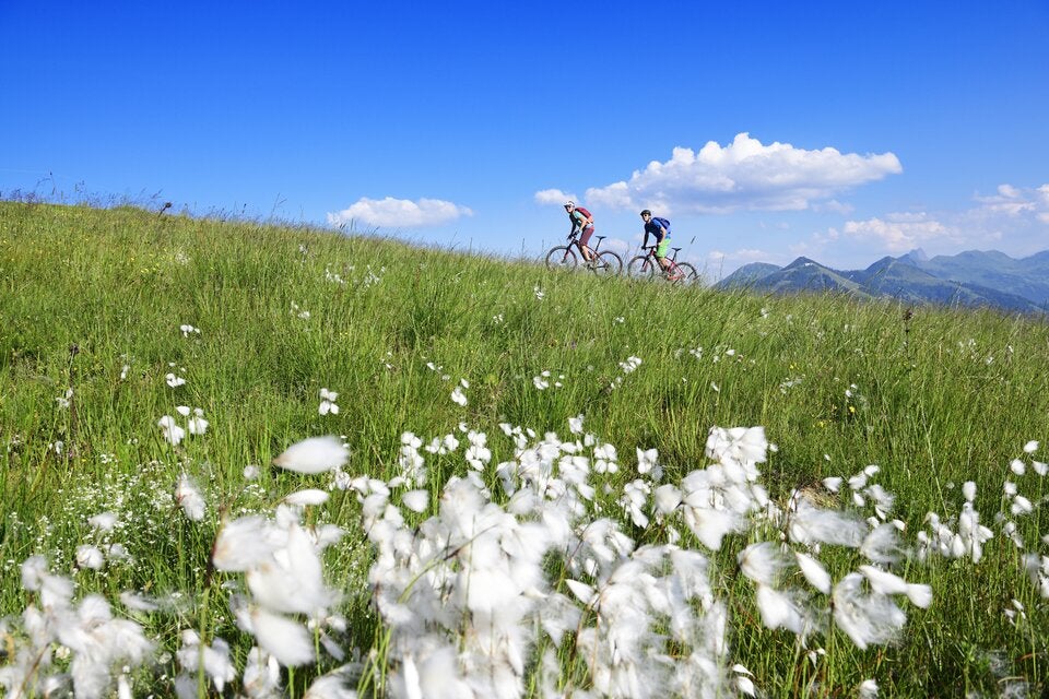 Shopping & Bergluft: Tipps für den Kitzbühel-Sommer