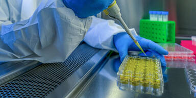 Drei F&auml;lle best&auml;tigt: Corona-Mutation nun auch in Ober&ouml;sterreich