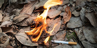 Höchste Waldbrand-Alarmstufe in NÖ: Saftige Strafen drohen