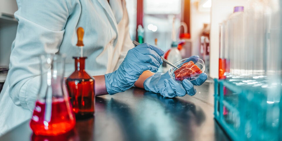 In Asien und den USA ist Fleisch aus dem Labor schon am Markt.