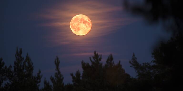 Vollmond am 3. März: Diese 3 Sternzeichen erwartet ein ECHTER Neustart