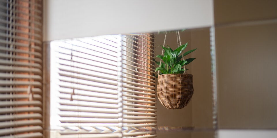 Räume ohne Fenster lüften: Das sollten Sie beachten