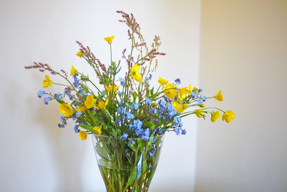 Geheime Liebesbotschaften: Die Bedeutung hinter Valentinstagsblumen