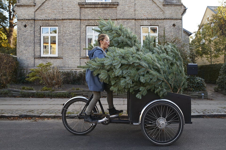 Christbaum transportieren: Diese häufigen Fehler sollten Sie unbedingt vermeiden