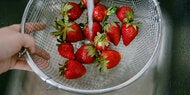 Insekten in Erdbeeren? So reinigen Sie die Früchte richtig