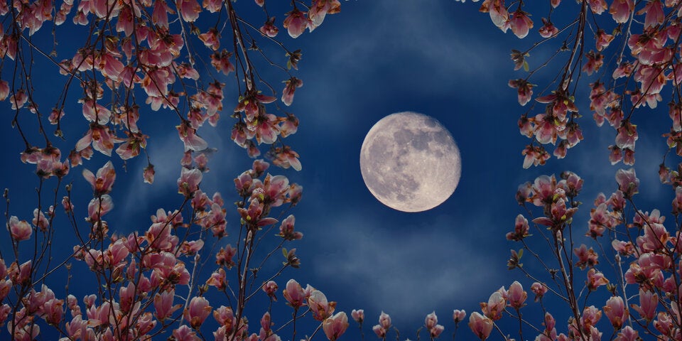 Vollmond am 1. Mai 2026: Diese Sternzeichen profitieren JETZT am meisten