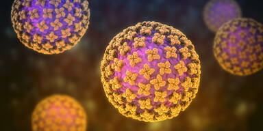 Hantavirus: Harvard-Experten warnen vor untersch&auml;tzter &Uuml;bertragung